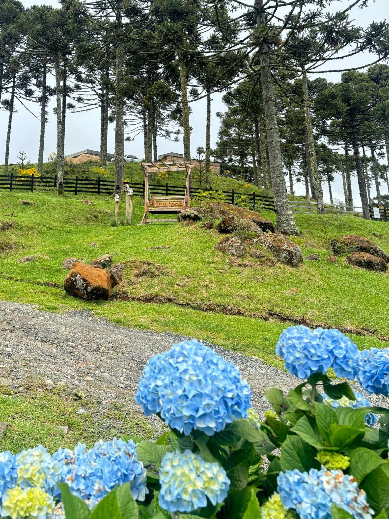 Agroturismo Estalagem Ceu Da Montanha - Morro Da Igreja *